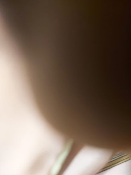🐣