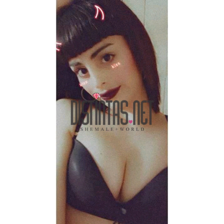 Brisa Pendex