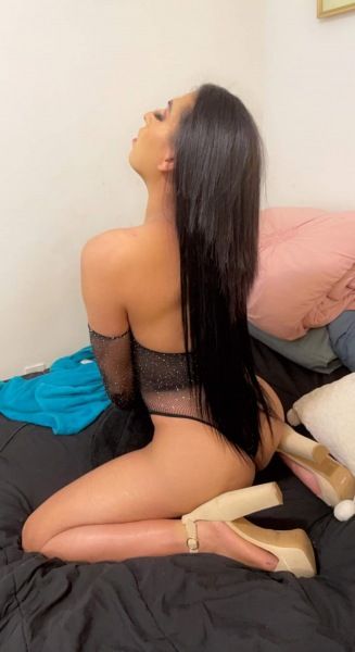 Detroit Shemale Escorts