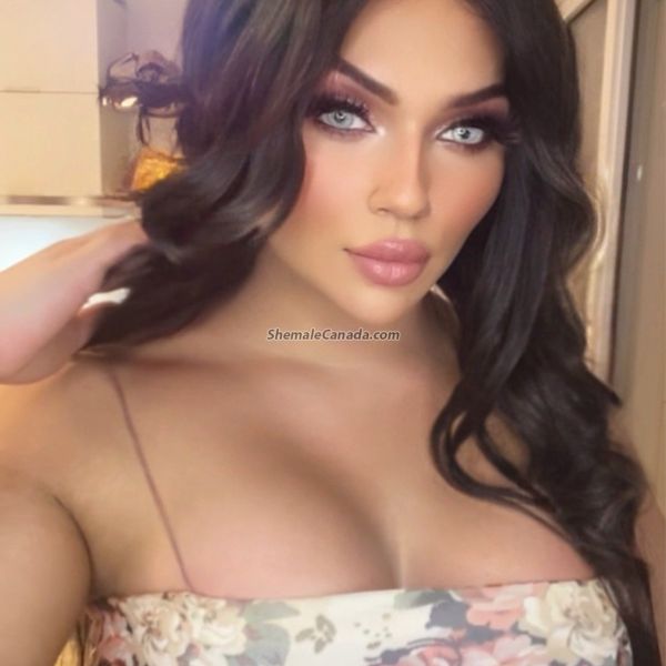 SATRIAKAL ,SALAM AZIZAM Very CLASSY & ELITE New in toronto, so treat me like a queen I am ADD MY SNAPCHAT TO CONFIRM I AM REAL. ? ID : yourgirlmeera CERTIFIED MASSAGE THERAPIST. Provide receipts too Meera I am Indian (punjabi) - Persian Blue Eyes Well educated & kind. Elite & classy 21 year old. Well educated, new to transitioning yet giving you a whole women fantasy. Certified RMT, so i exactly know what points at.. 5.9, exotic thick & Blue eyes. English, Persian, Hindi, Punjabi, Urdu, Spanish Location: Hosting in one of the luxurious condo in downtown, Giving out Discreet & relaxed experience with no Rush. 24*7 parking Donations: I accept Cash & E-transfer. Social Media Snapchat: yourgirlmeera